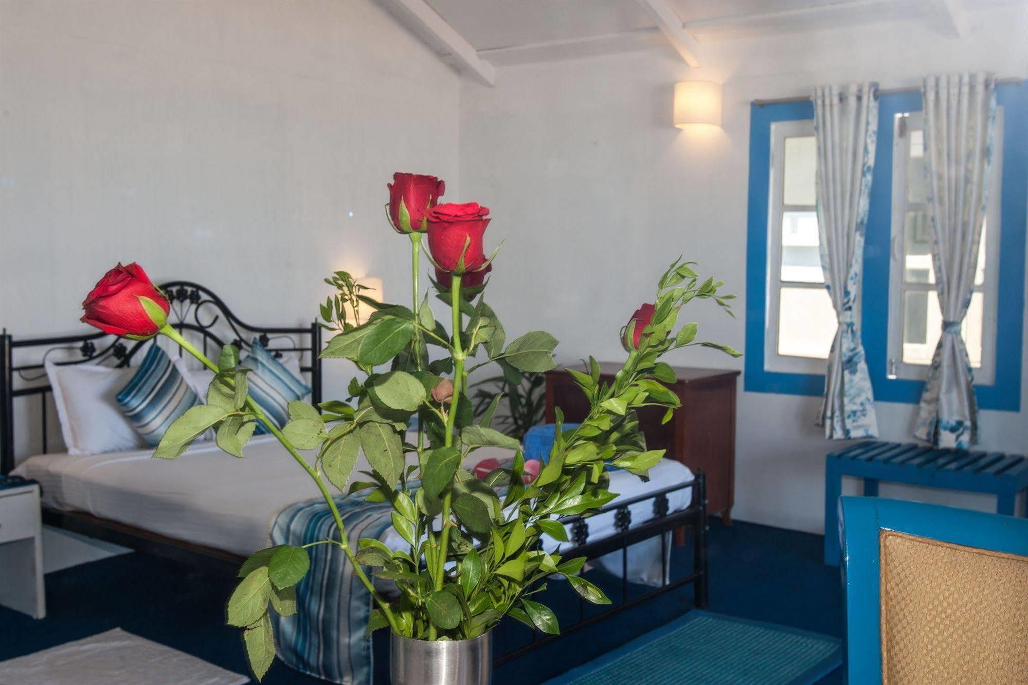 Cuba Agonda Bed and Breakfast Εξωτερικό φωτογραφία
